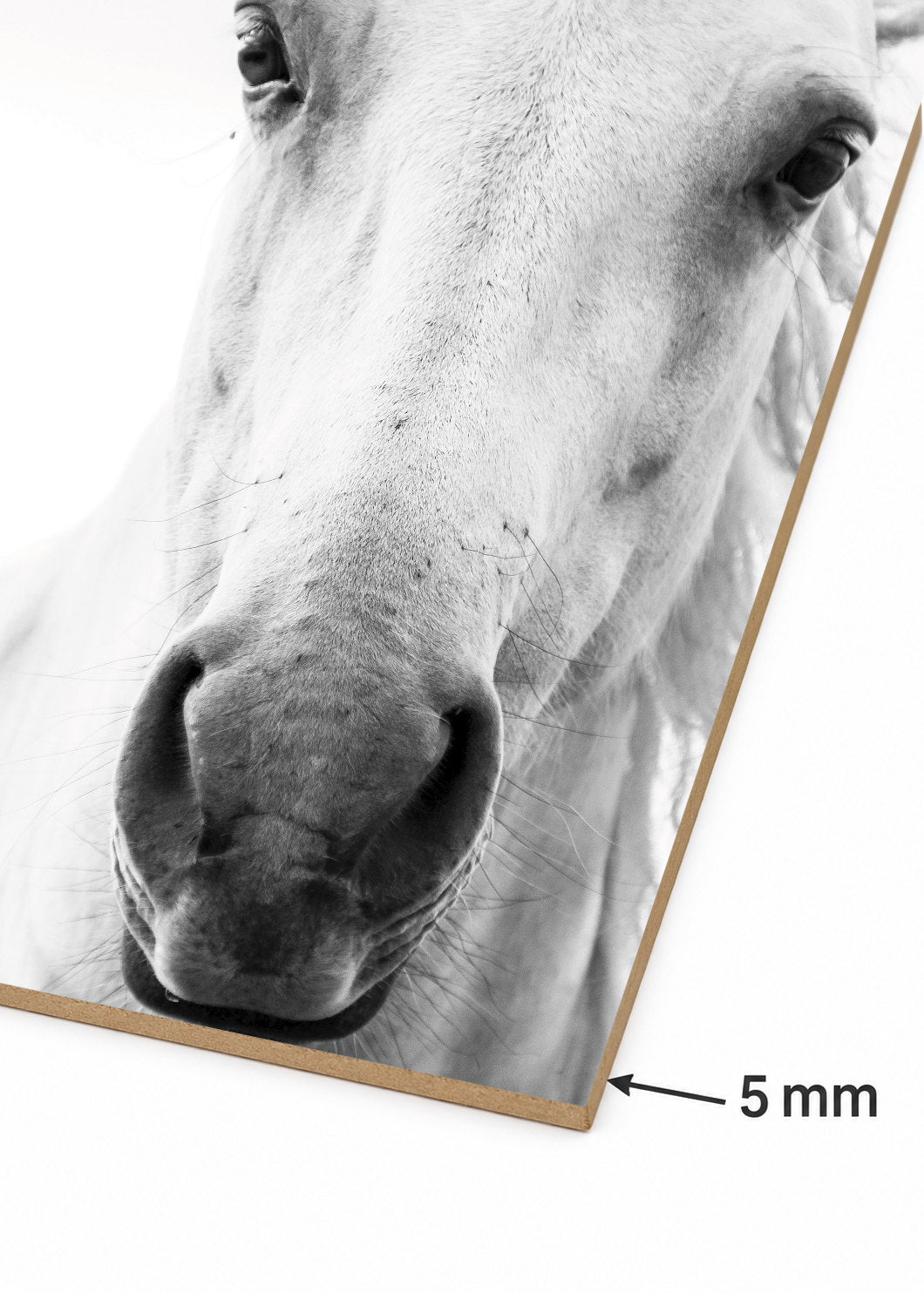 Cuadro Decorativo Mural Sin Marco 5mm - Caballos, Amantes de los Caballos III