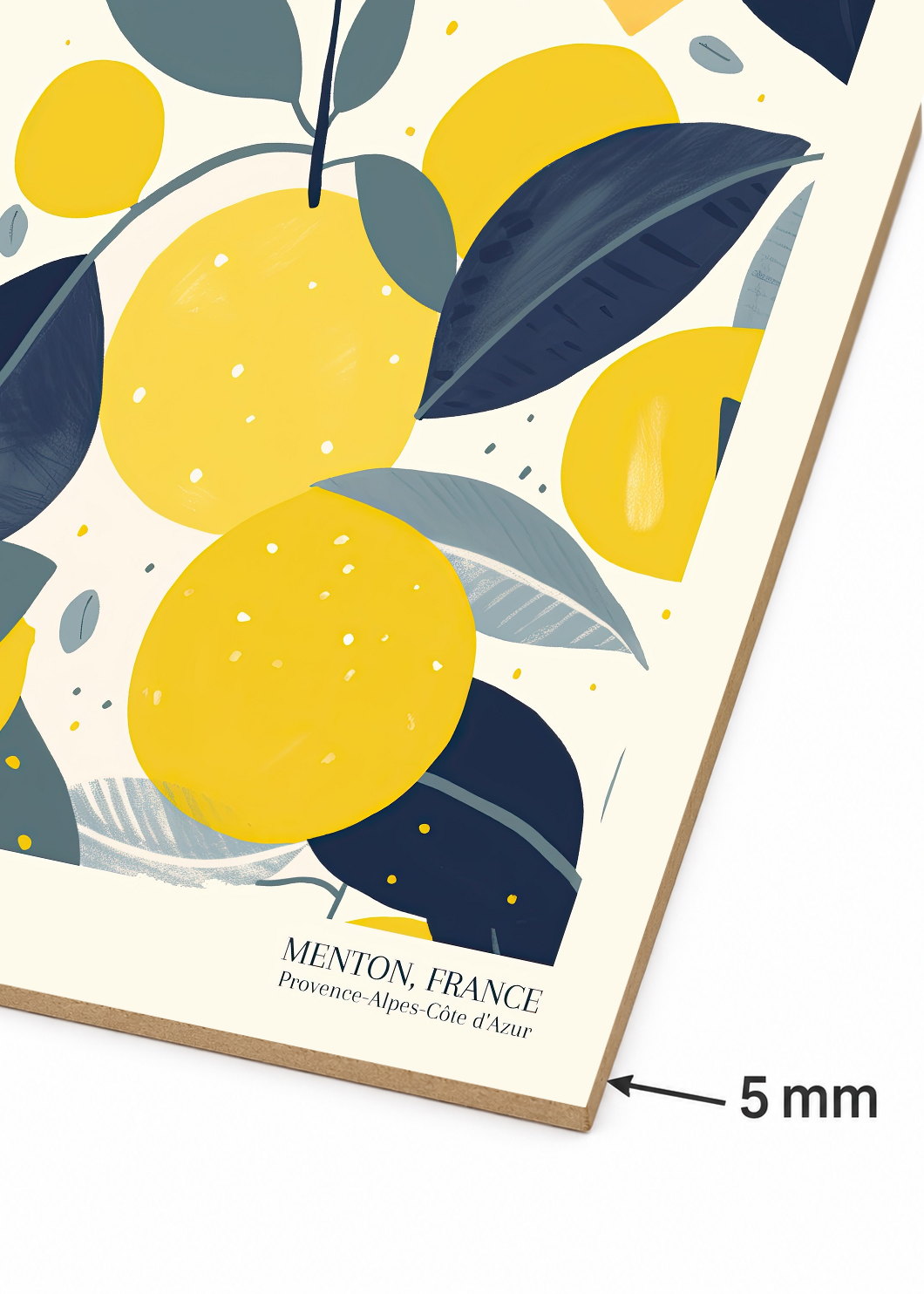 Set x3 Cuadros Decorativos Mural Sin Marco 5mm - Diseños Botánico Cítricos