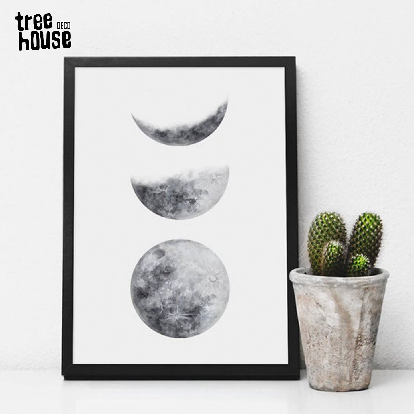 Cuadro Decorativo Lunas , Evolución