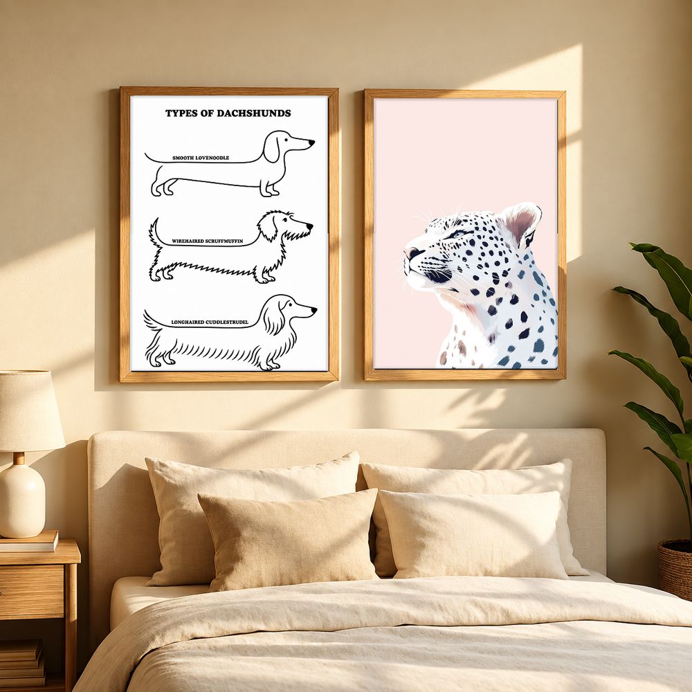Set de 0 cuadros decorativos que combinan