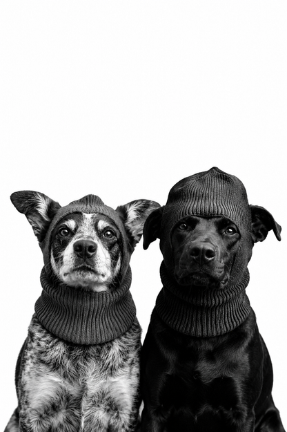Cuadro Decorativo Personalizado, Marco Natural la foto de tu mascota más divertida - Perritos Ladrones