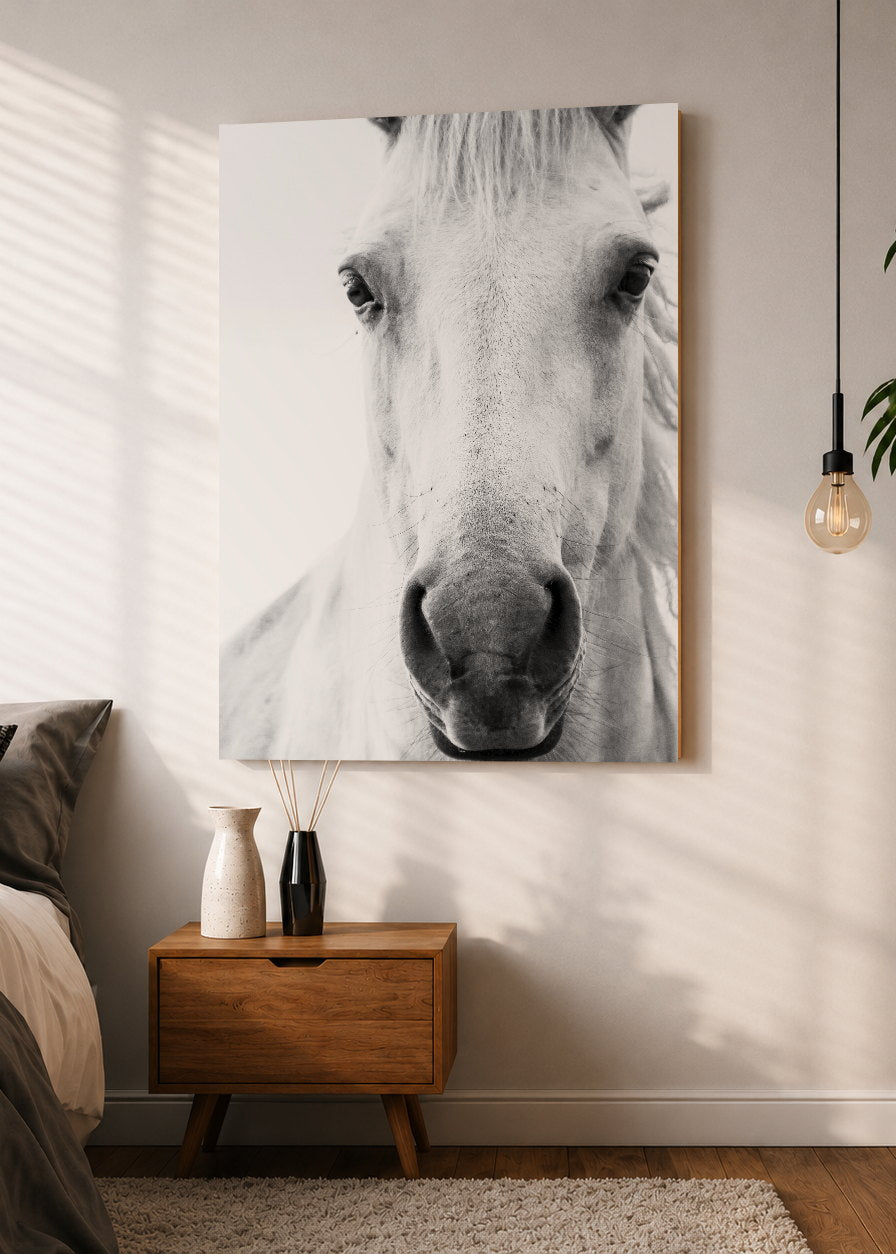 Cuadro Decorativo Mural Sin Marco 5mm - Caballos, Amantes de los Caballos III