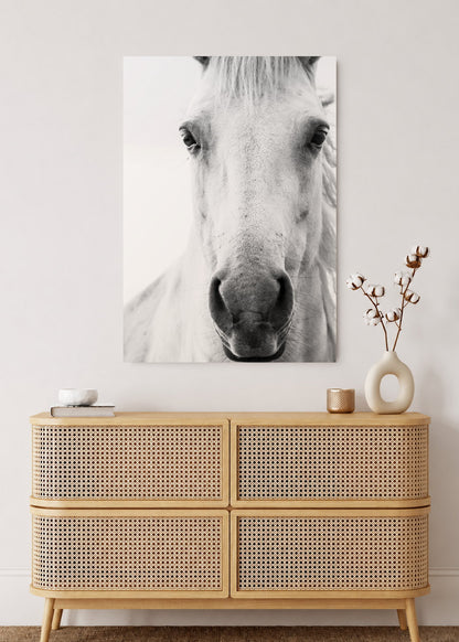 Cuadro Decorativo Mural Sin Marco 5mm - Caballos, Amantes de los Caballos III
