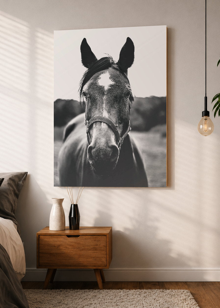 Cuadro Decorativo Mural Sin Marco 5mm - Caballos, Amantes de los Caballos XIII