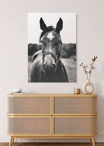 Cuadro Decorativo Mural Sin Marco 5mm - Caballos, Amantes de los Caballos XIII