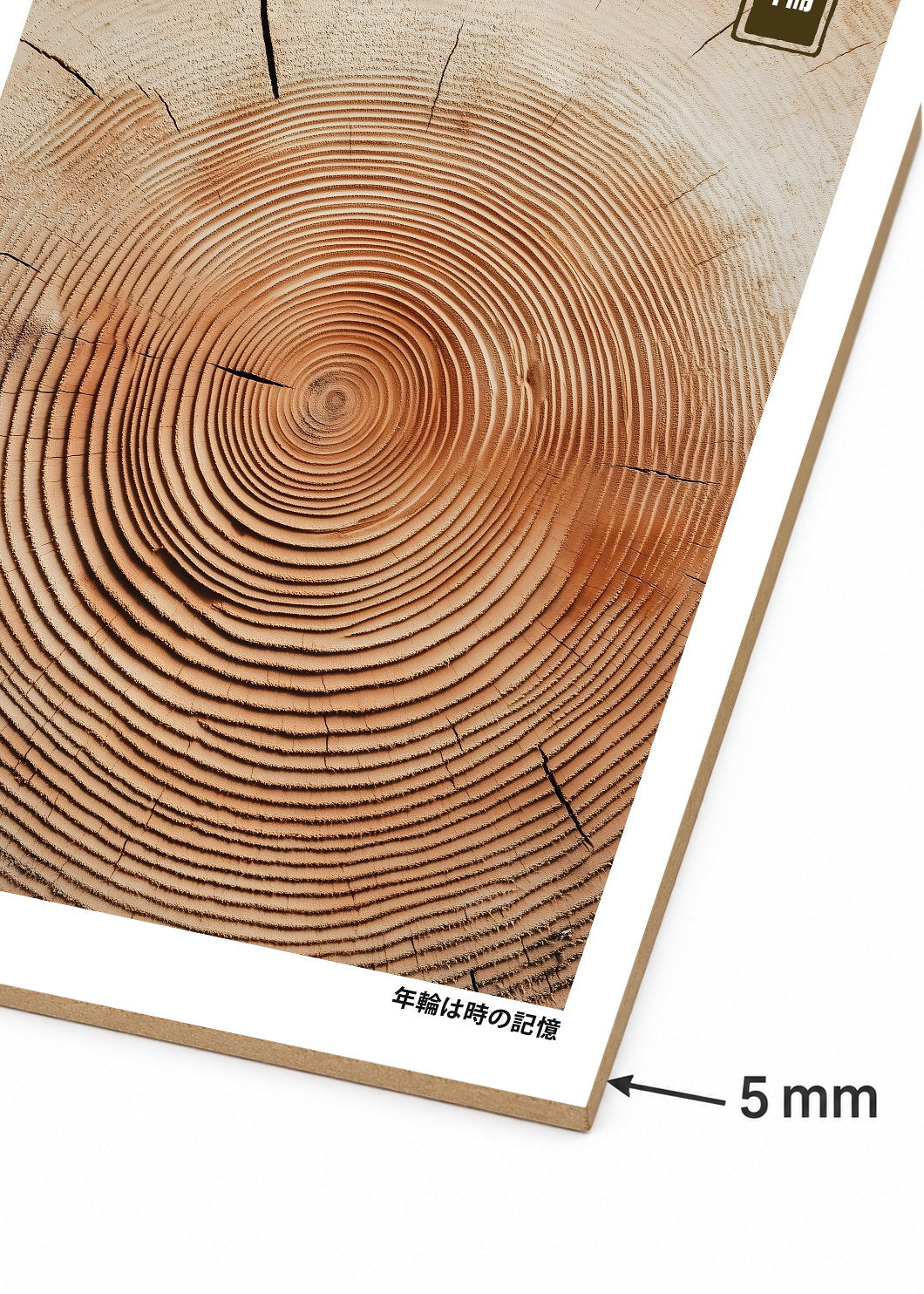 Cuadro Decorativo Mural Sin Marco 5mm - Japandi, Anillos de Tronco en Madera, Nenrin