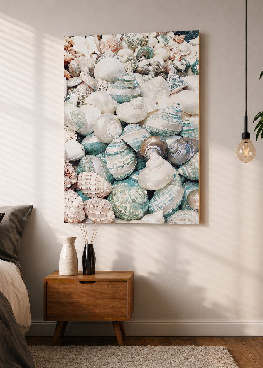 Cuadro Decorativo Mural Sin Marco 5mm - Playa, Caracoles Monton