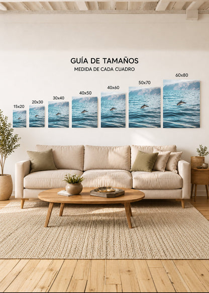 Cuadro Decorativo Mural Sin Marco 5mm - Playa, Delfín Montañas Mar