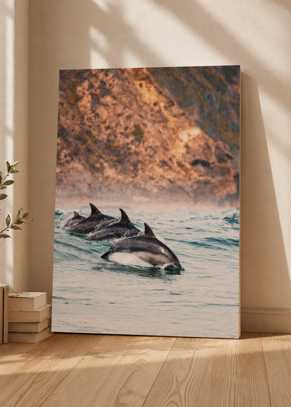 Cuadro Decorativo Mural Sin Marco 5mm - Playa, Delfines Saltando Mar