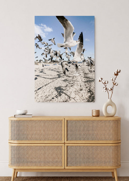 Cuadro Decorativo Mural Sin Marco 5mm - Playa, Gaviotas Volando Arena