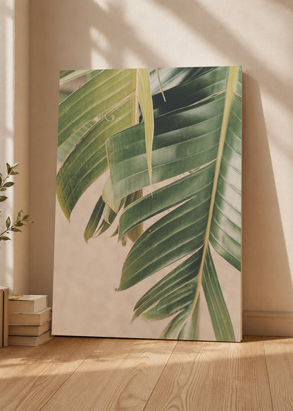 Cuadro Decorativo Mural Sin Marco 5mm - Playa, Hoja Palmera Detalle