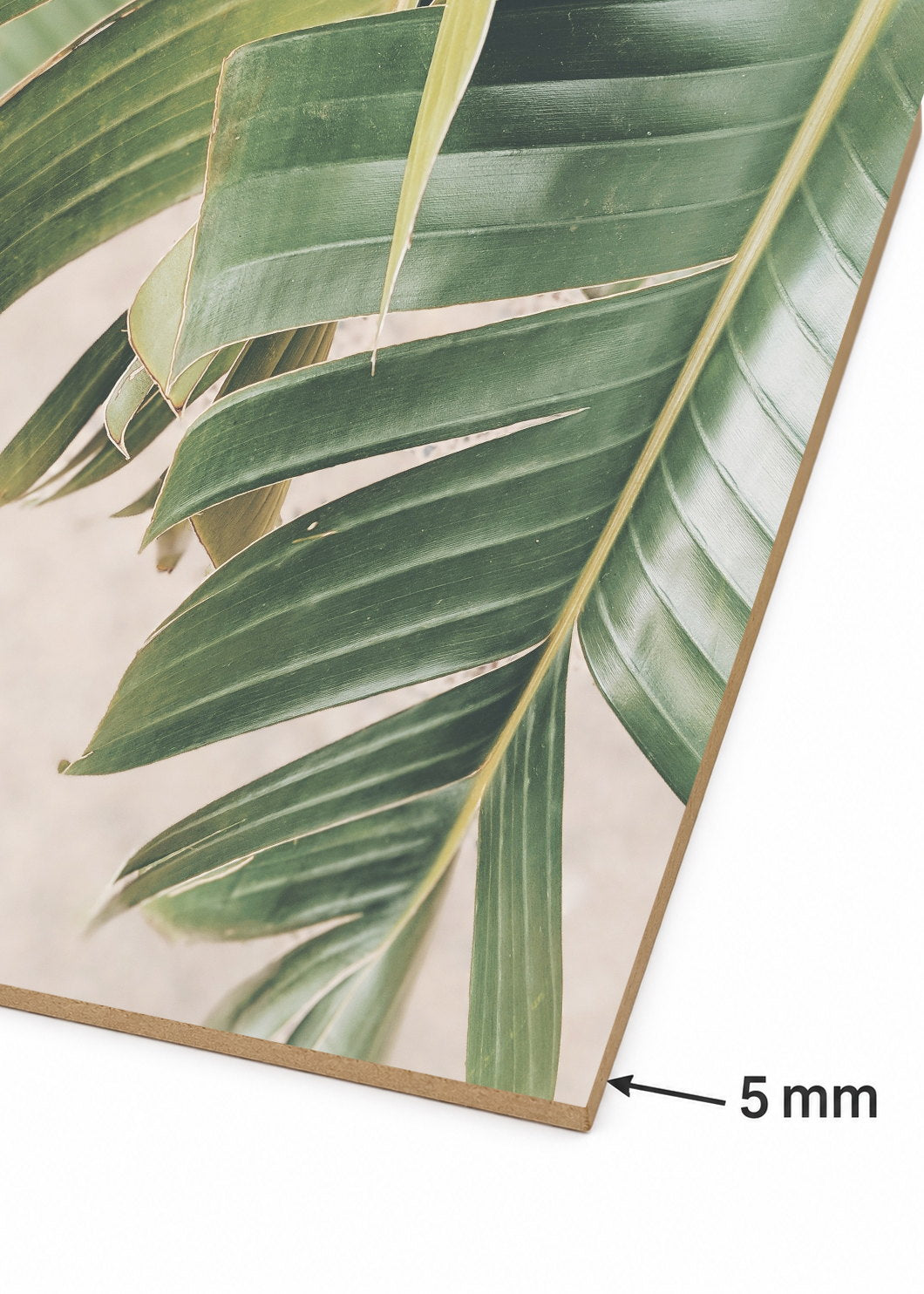 Cuadro Decorativo Mural Sin Marco 5mm - Playa, Hoja Palmera Detalle