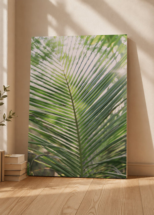 Cuadro Decorativo Mural Sin Marco 5mm - Playa, Hoja Palmera Verde Claro