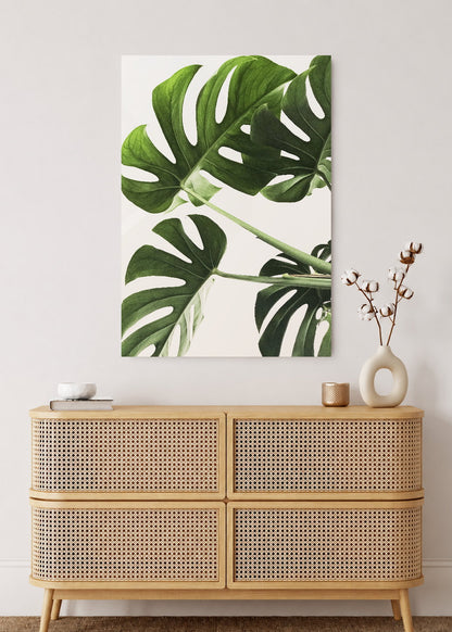 Cuadro Decorativo Mural Sin Marco 5mm - Playa, Hojas Monstera Verde