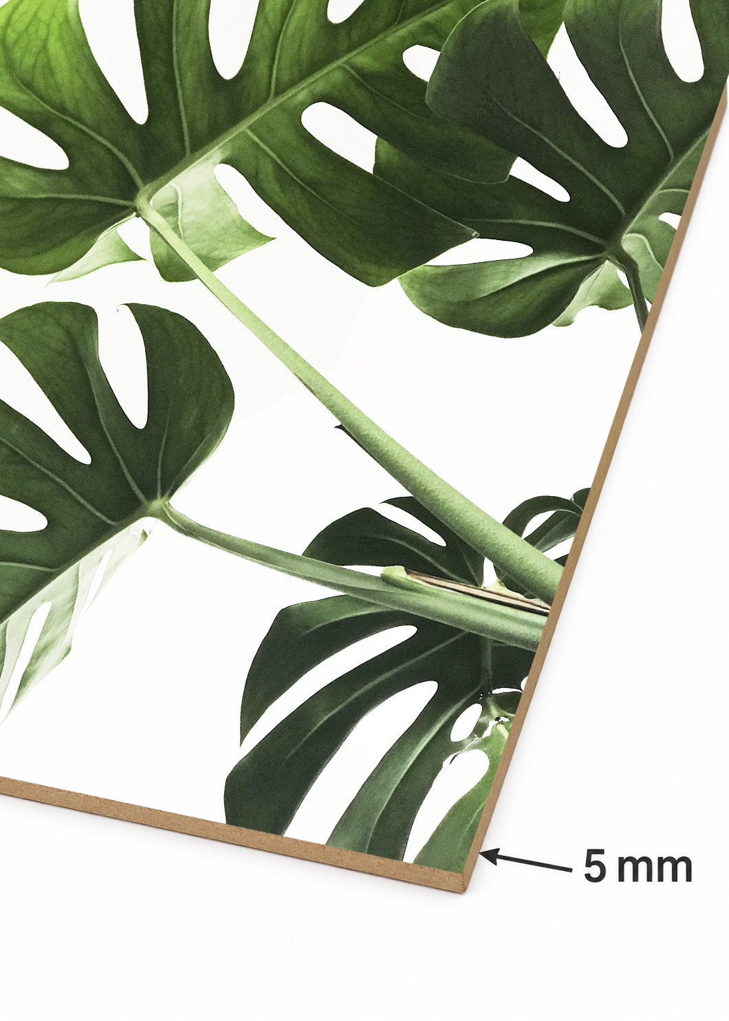 Cuadro Decorativo Mural Sin Marco 5mm - Playa, Hojas Monstera Verde