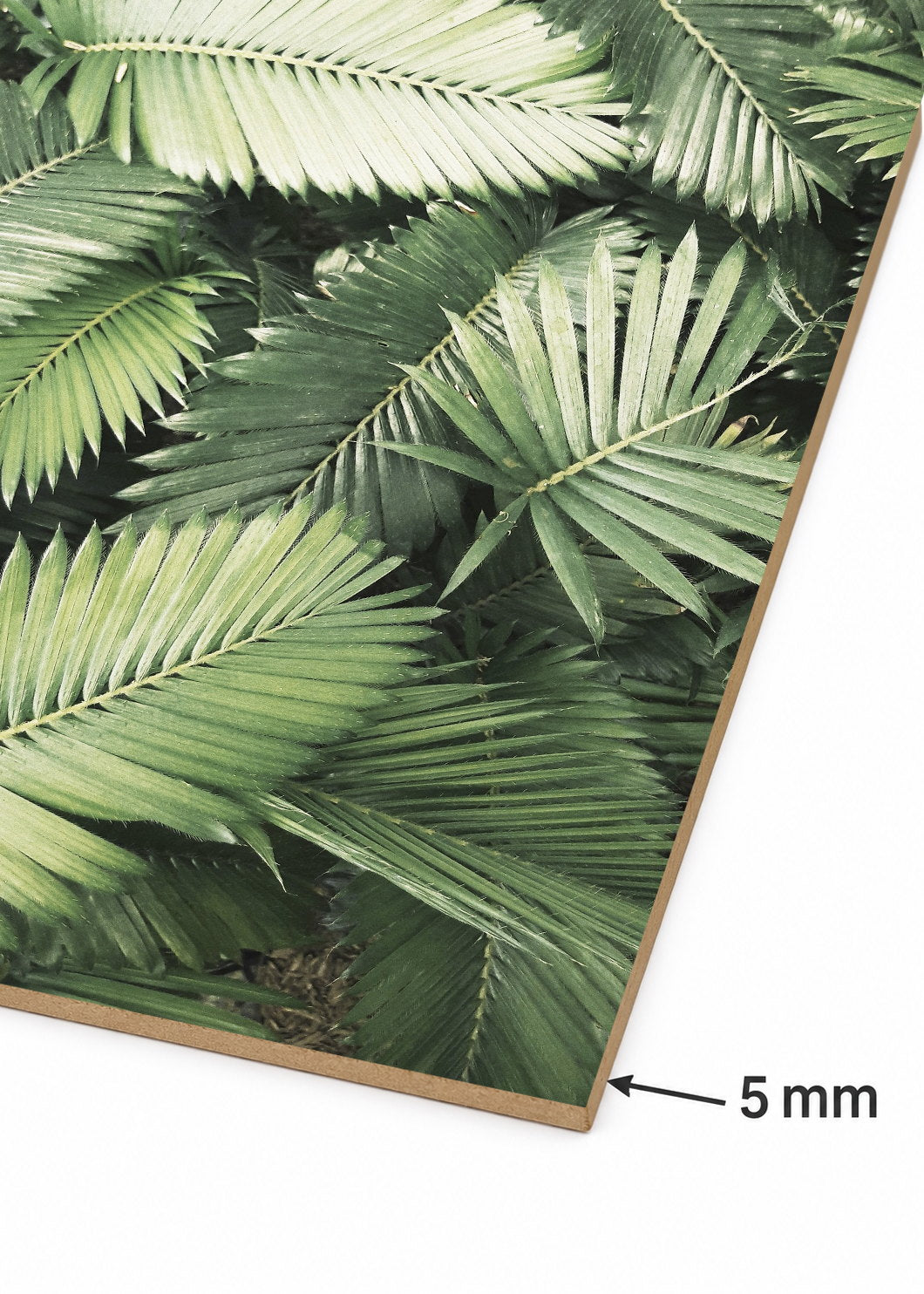Cuadro Decorativo Mural Sin Marco 5mm - Playa, Hojas Palmera Verde