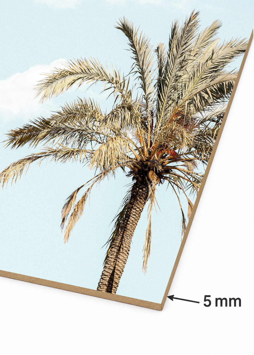 Cuadro Decorativo Mural Sin Marco 5mm - Playa, Palmera Datilera Beige