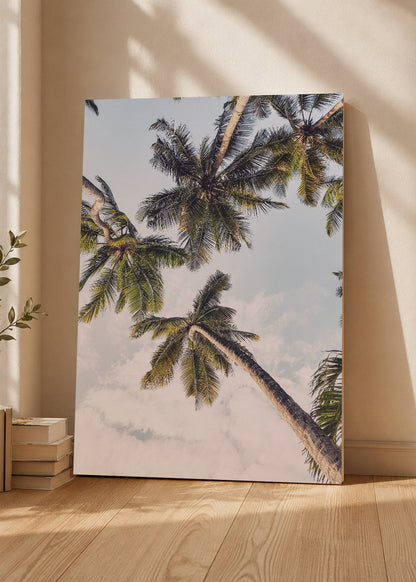 Cuadro Decorativo Mural Sin Marco 5mm - Playa, Palmera Inclinada Blanco