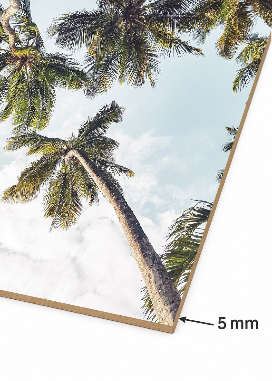 Cuadro Decorativo Mural Sin Marco 5mm - Playa, Palmera Inclinada Blanco