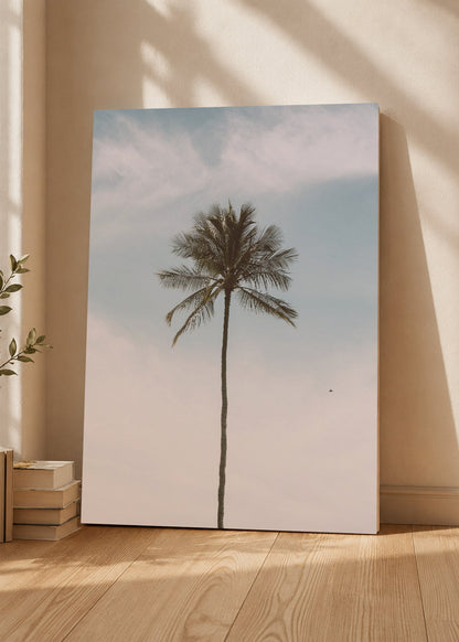 Cuadro Decorativo Mural Sin Marco 5mm - Playa, Palmera Minimal Cielo