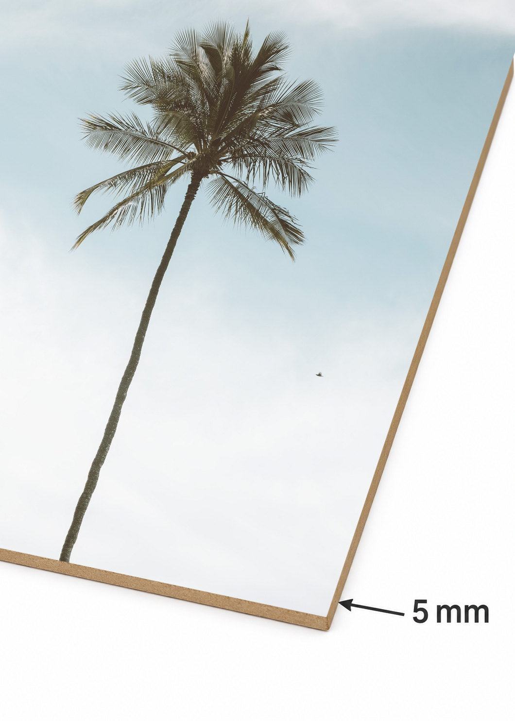 Cuadro Decorativo Mural Sin Marco 5mm - Playa, Palmera Minimal Cielo