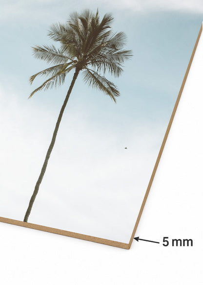 Cuadro Decorativo Mural Sin Marco 5mm - Playa, Palmera Minimal Cielo