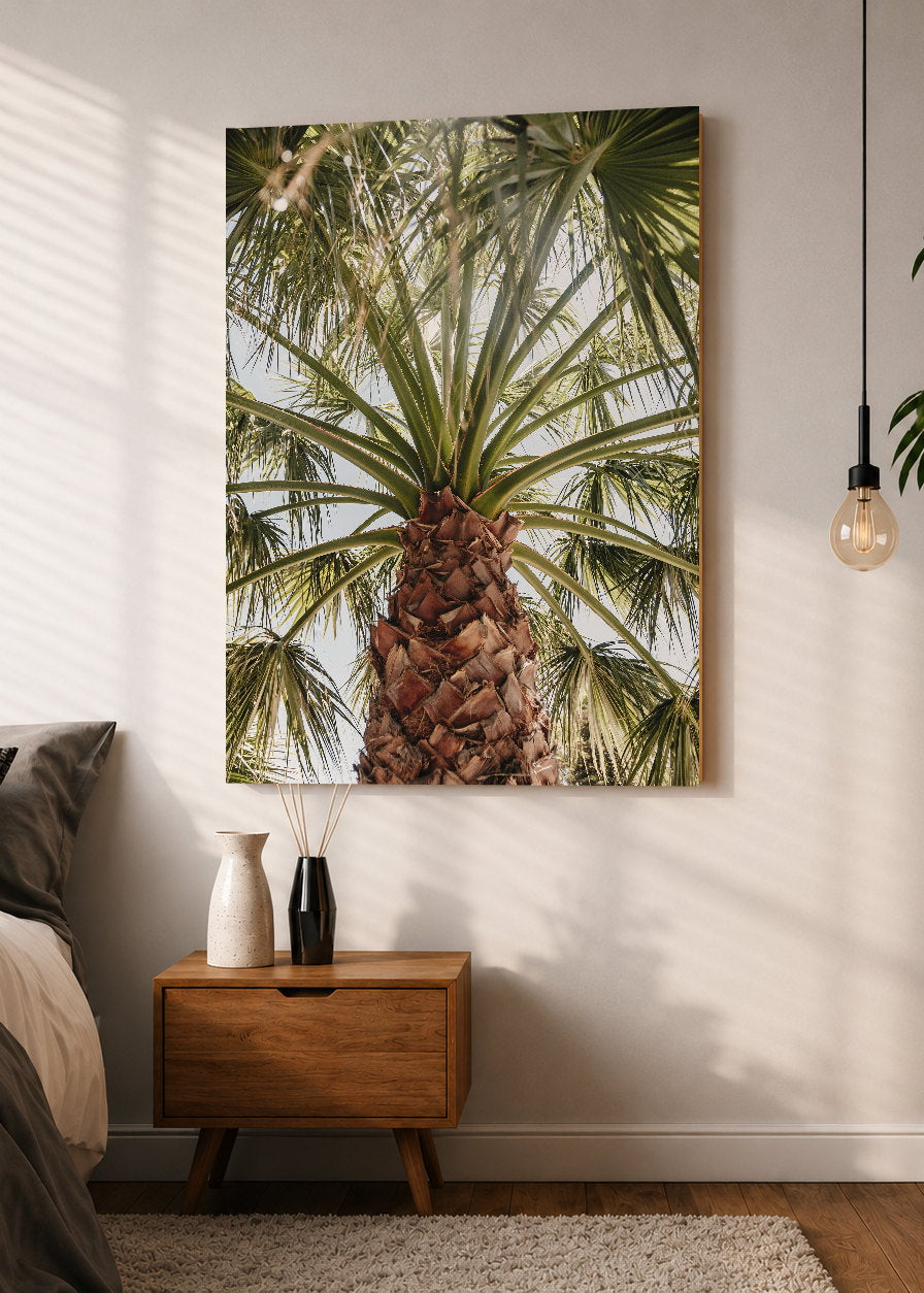 Cuadro Decorativo Mural Sin Marco 5mm - Playa, Palmera Tronco Verde