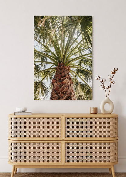 Cuadro Decorativo Mural Sin Marco 5mm - Playa, Palmera Tronco Verde