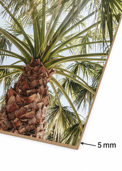 Cuadro Decorativo Mural Sin Marco 5mm - Playa, Palmera Tronco Verde