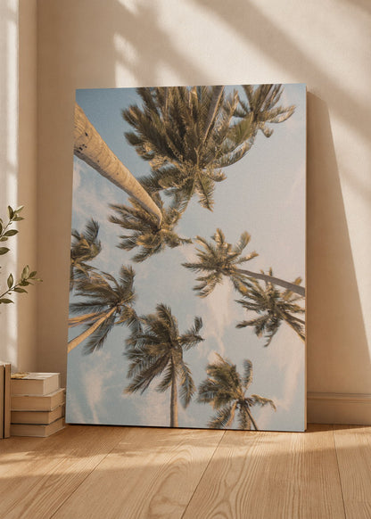 Cuadro Decorativo Mural Sin Marco 5mm - Playa, Palmeras desde Abajo