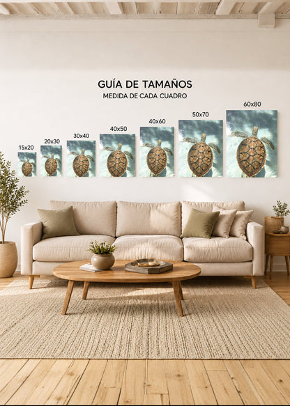 Cuadro Decorativo Mural Sin Marco 5mm - Playa, Tortuga Marina Agua