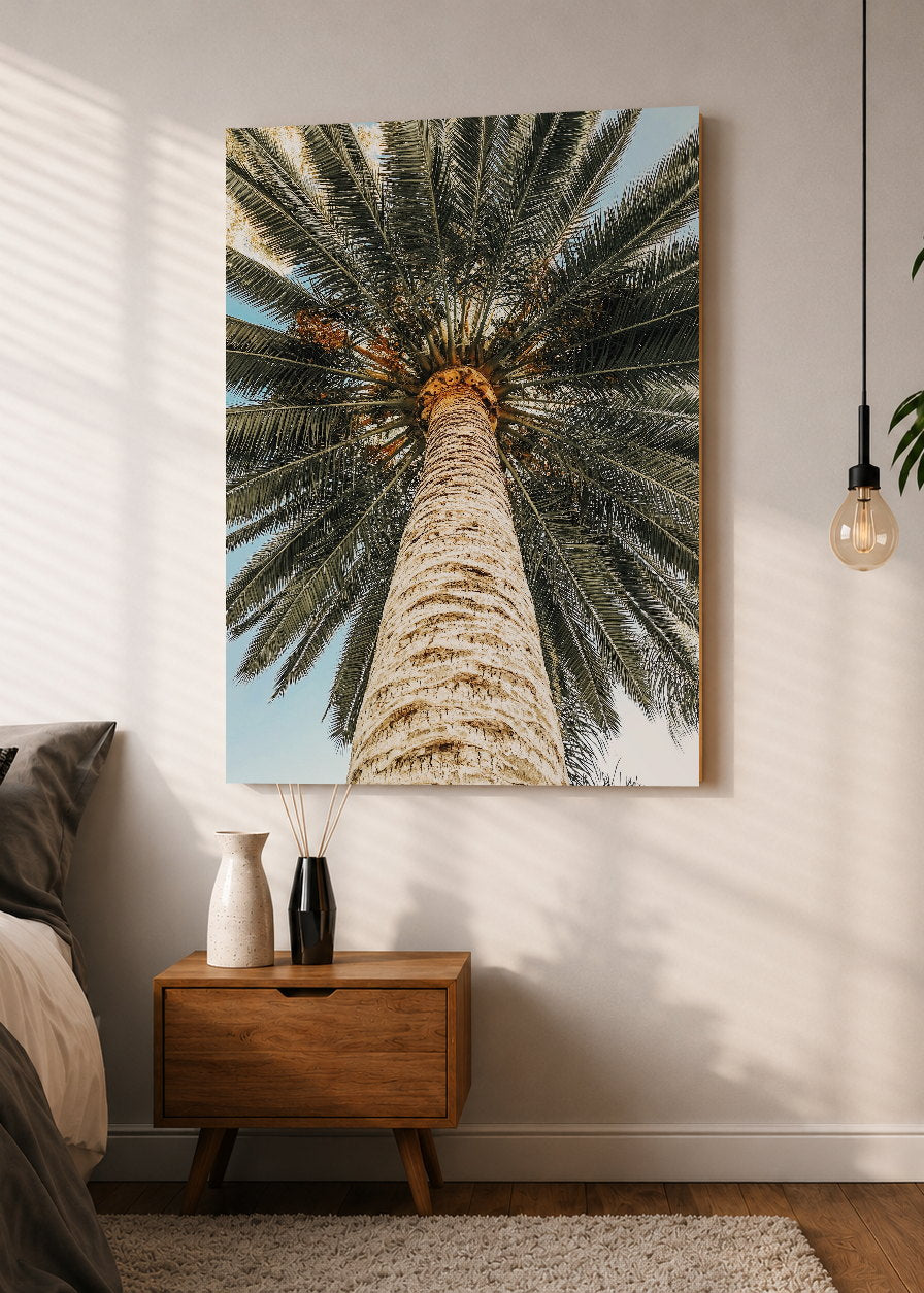 Cuadro Decorativo Mural Sin Marco 5mm - Playa, Tronco Palmera Abajo