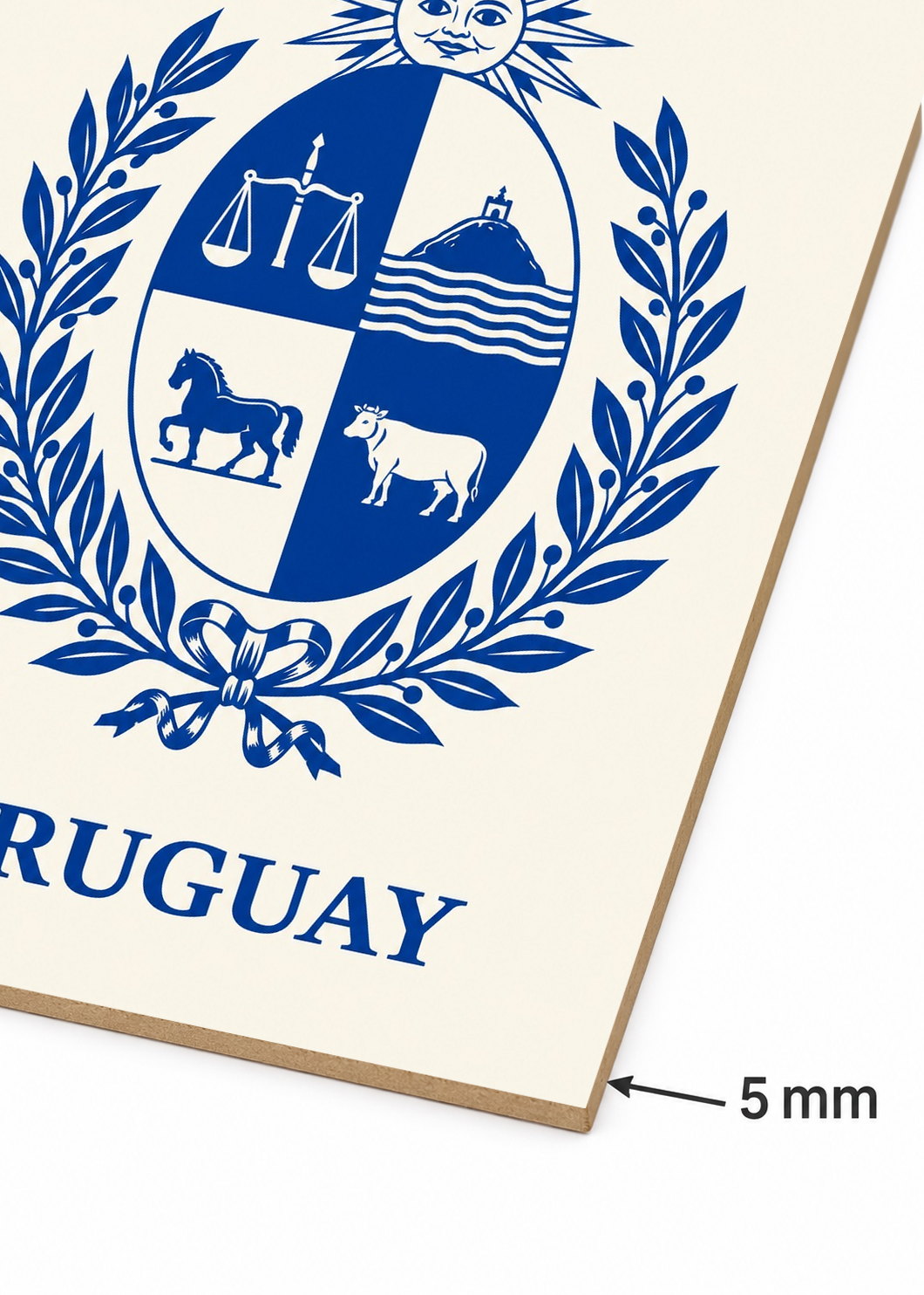 Cuadro Decorativo Mural Sin Marco 5mm - Uruguay Escudo