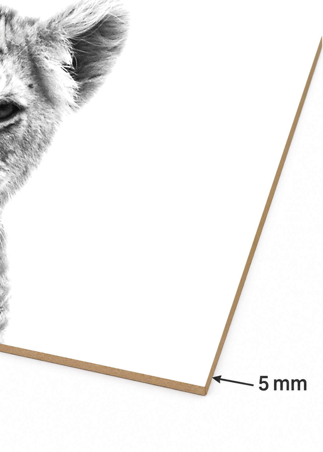 Set x2 Cuadros Decorativos Mural Sin Marco 5mm - Leones