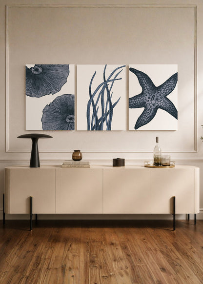Set x3 Cuadros Decorativos Mural Sin Marco 5mm - Abstractos, estrella de mar, Azul, Mar, Playa
