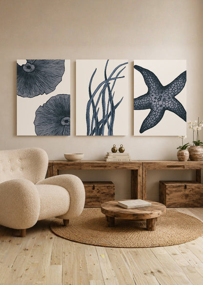 Set x3 Cuadros Decorativos Mural Sin Marco 5mm - Abstractos, estrella de mar, Azul, Mar, Playa