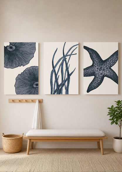 Set x3 Cuadros Decorativos Mural Sin Marco 5mm - Abstractos, estrella de mar, Azul, Mar, Playa