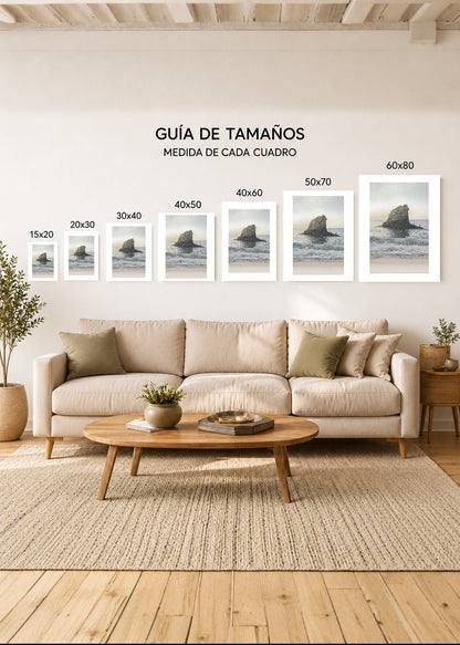 Set x3 Cuadros Decorativos Mural Sin Marco 5mm - Roca , Pajaros