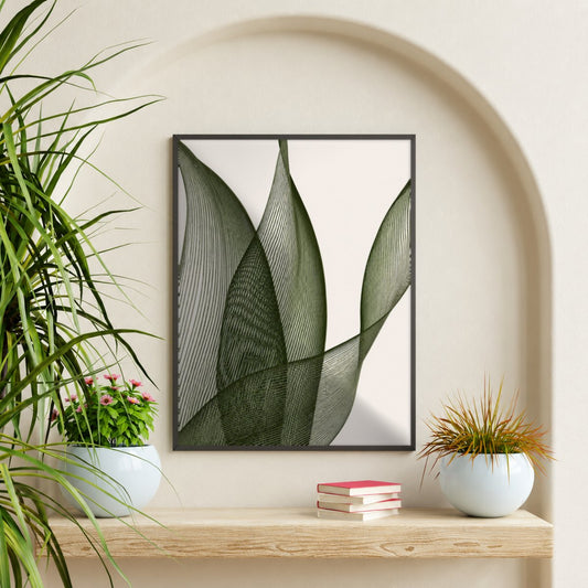 Cuadro Decorativo Botánicos, Plantas, Botanic Vibes XXV