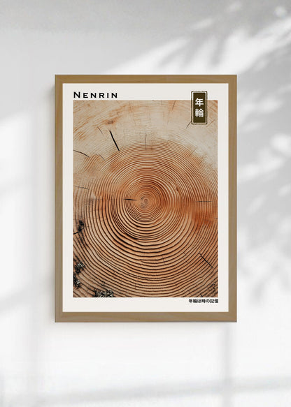 Cuadro Decorativo Japandi, Anillos de Tronco en Madera, Nenrin