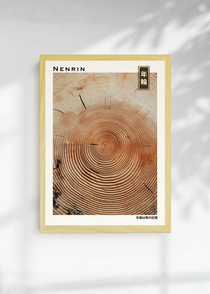Cuadro Decorativo Japandi, Anillos de Tronco en Madera, Nenrin