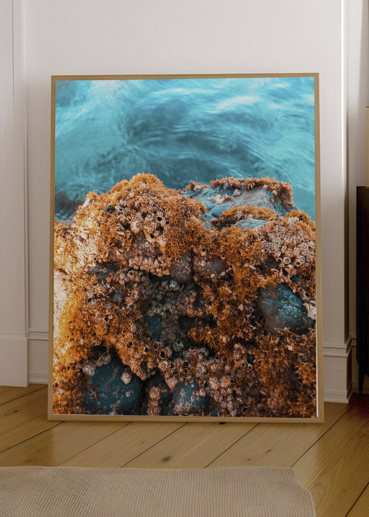 Cuadro Decorativo Playa, Arrecife Rocas Ocre