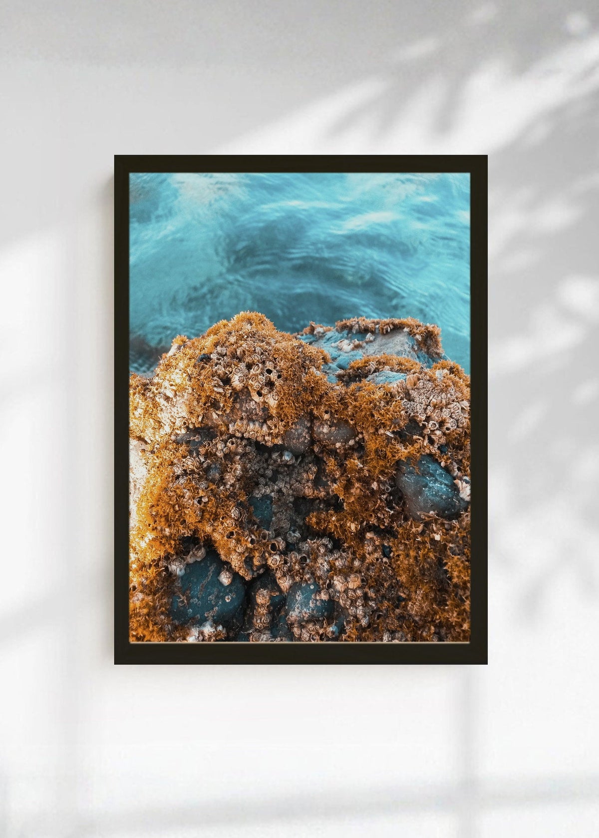 Cuadro Decorativo Playa, Arrecife Rocas Ocre