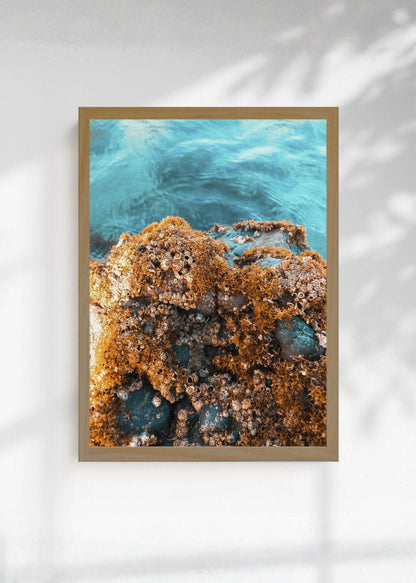 Cuadro Decorativo Playa, Arrecife Rocas Ocre