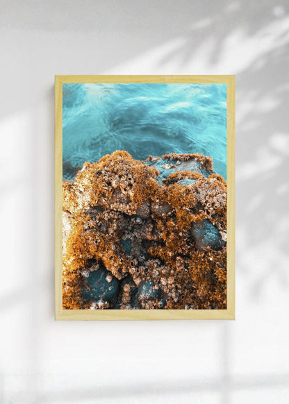 Cuadro Decorativo Playa, Arrecife Rocas Ocre