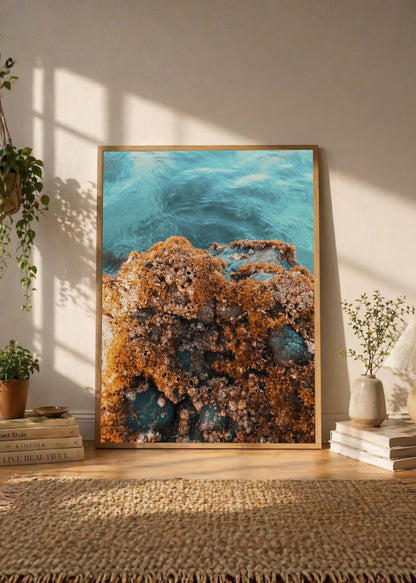 Cuadro Decorativo Playa, Arrecife Rocas Ocre