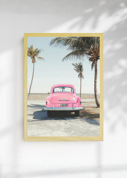 Cuadro Decorativo Playa, Auto Rosa Palmeras