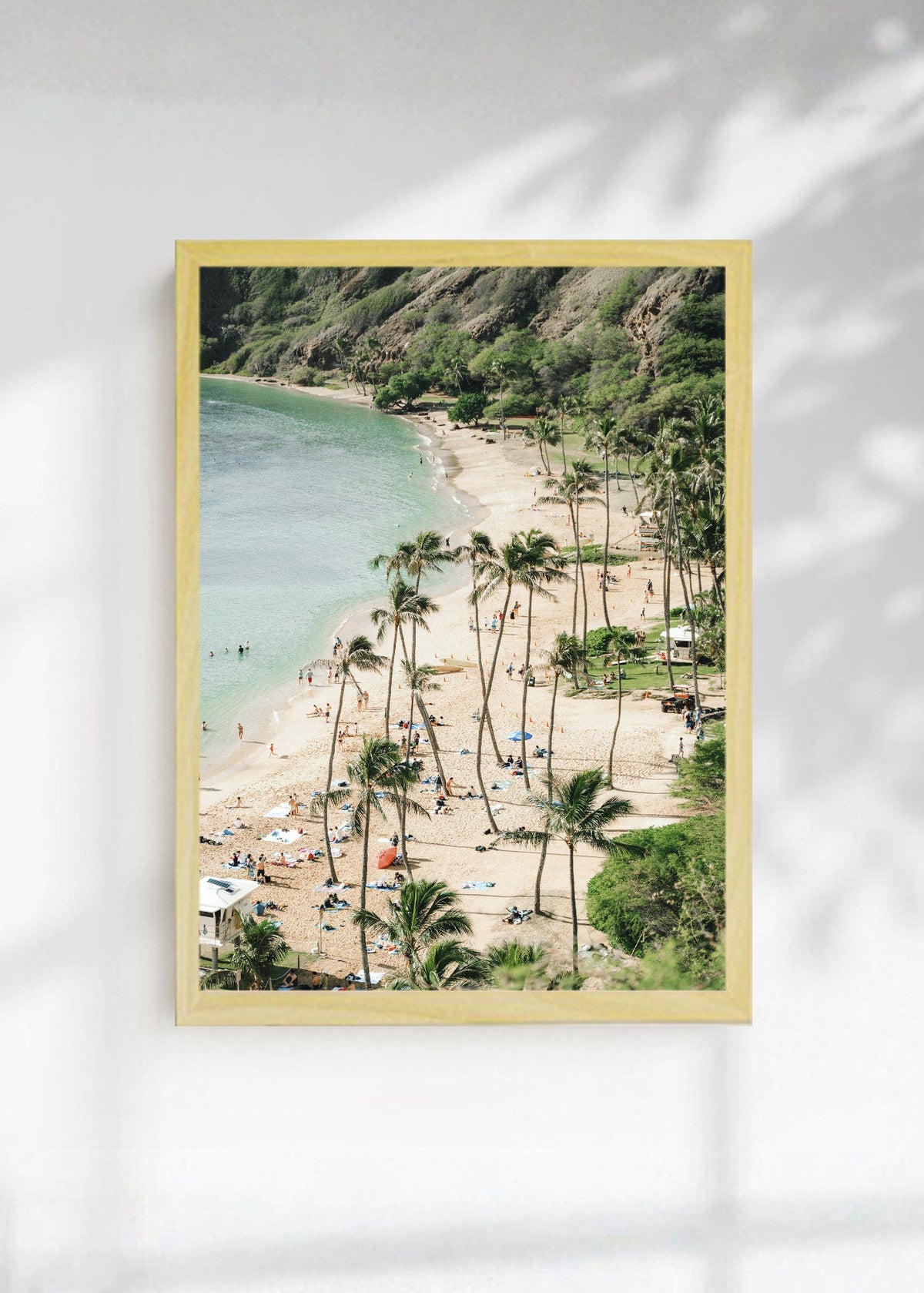 Cuadro Decorativo Playa, Bahía Palmeras Aérea