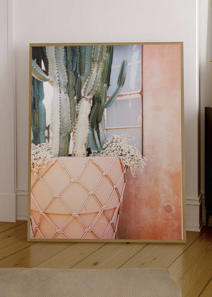 Cuadro Decorativo Playa, Cactus Pared Rosa