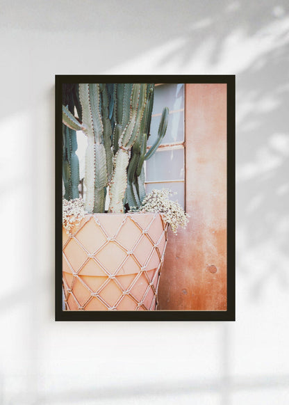 Cuadro Decorativo Playa, Cactus Pared Rosa